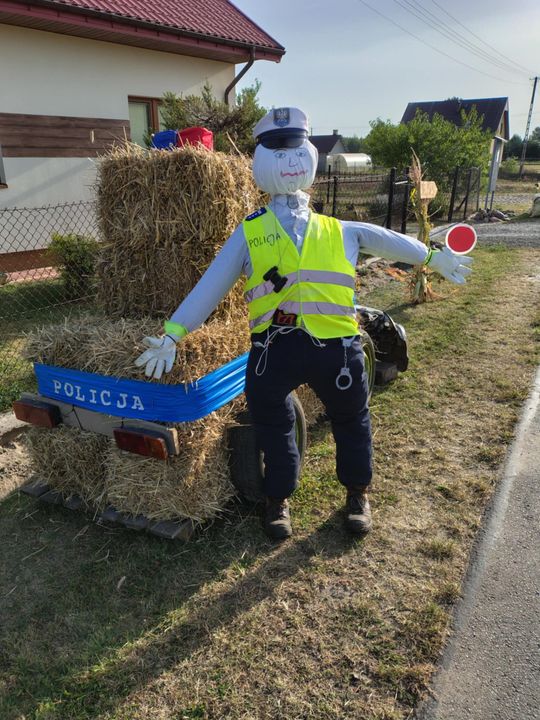 Pow. chełmski. Wszystkie witacze zostaną nagrodzone na powiatowych dożynkach w Nowinach [GALERIA ZDJĘĆ]