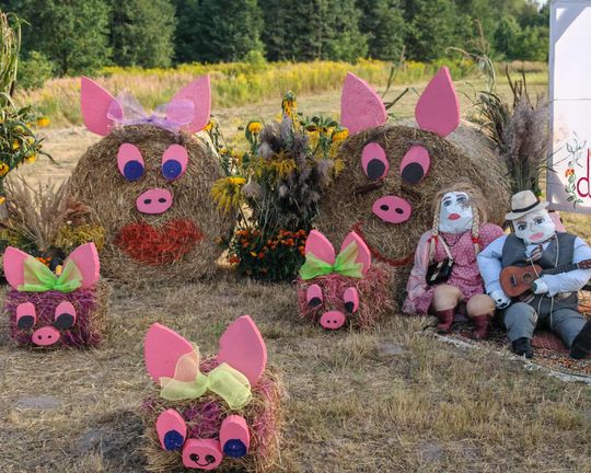 Pow. chełmski. Wszystkie witacze zostaną nagrodzone na powiatowych dożynkach w Nowinach [GALERIA ZDJĘĆ]