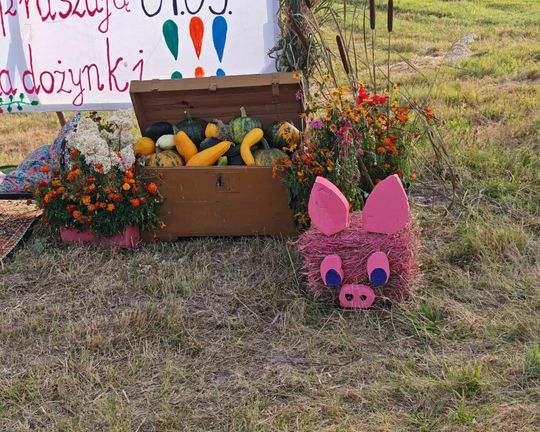 Pow. chełmski. Wszystkie witacze zostaną nagrodzone na powiatowych dożynkach w Nowinach [GALERIA ZDJĘĆ]