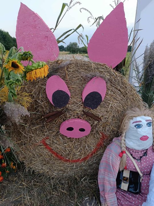 Pow. chełmski. Wszystkie witacze zostaną nagrodzone na powiatowych dożynkach w Nowinach [GALERIA ZDJĘĆ]