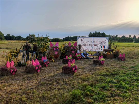 Pow. chełmski. Wszystkie witacze zostaną nagrodzone na powiatowych dożynkach w Nowinach [GALERIA ZDJĘĆ]