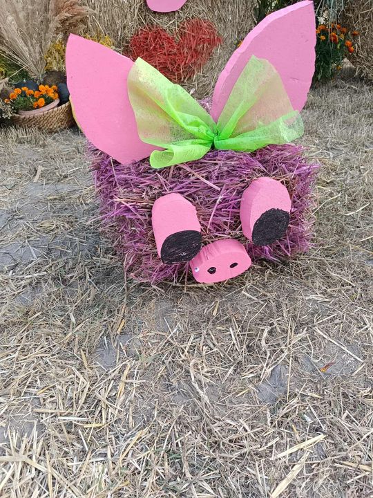 Pow. chełmski. Wszystkie witacze zostaną nagrodzone na powiatowych dożynkach w Nowinach [GALERIA ZDJĘĆ]