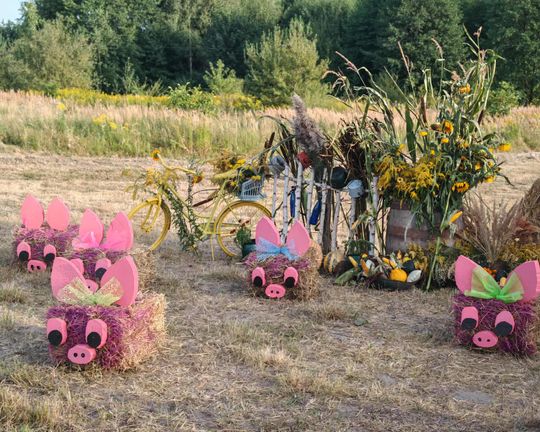 Pow. chełmski. Wszystkie witacze zostaną nagrodzone na powiatowych dożynkach w Nowinach [GALERIA ZDJĘĆ]