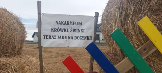 Pow. chełmski. Wszystkie witacze zostaną nagrodzone na powiatowych dożynkach w Nowinach [GALERIA ZDJĘĆ]