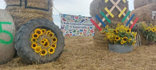 Pow. chełmski. Wszystkie witacze zostaną nagrodzone na powiatowych dożynkach w Nowinach [GALERIA ZDJĘĆ]