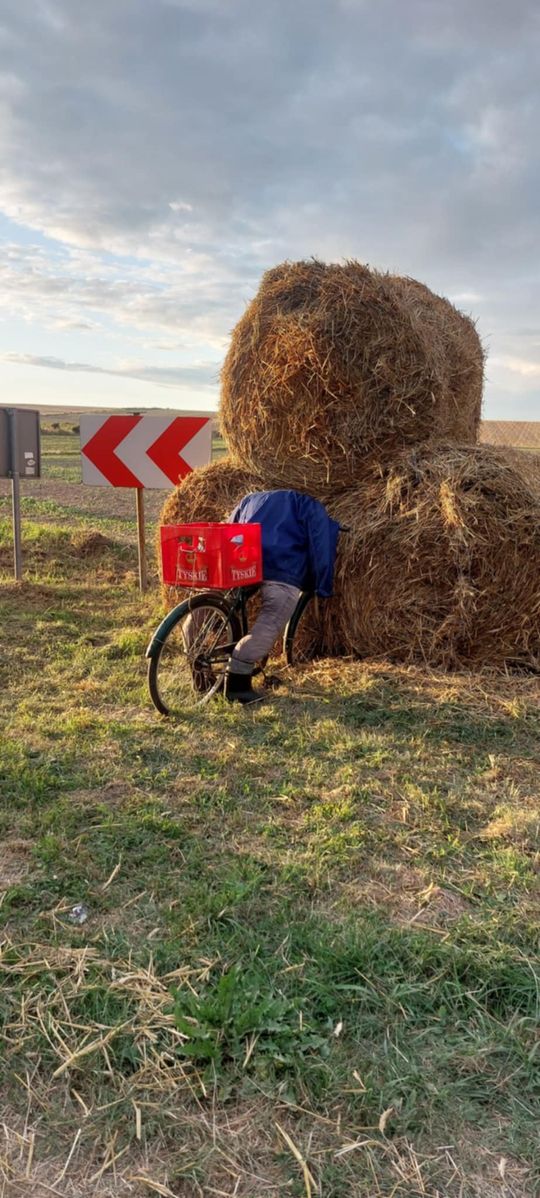 Pow. chełmski. Wszystkie witacze zostaną nagrodzone na powiatowych dożynkach w Nowinach [GALERIA ZDJĘĆ]