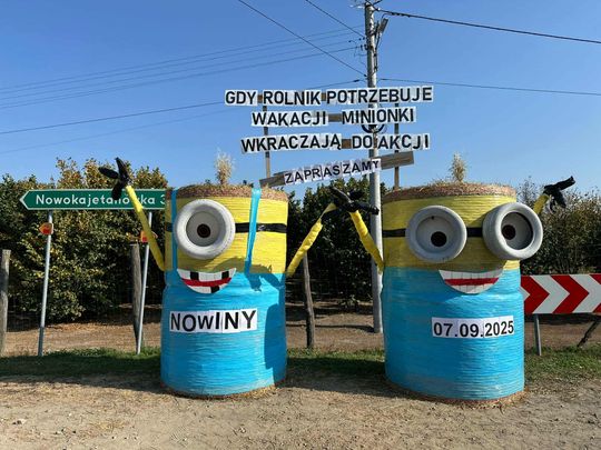 Pow. chełmski. Wszystkie witacze zostaną nagrodzone na powiatowych dożynkach w Nowinach [GALERIA ZDJĘĆ]