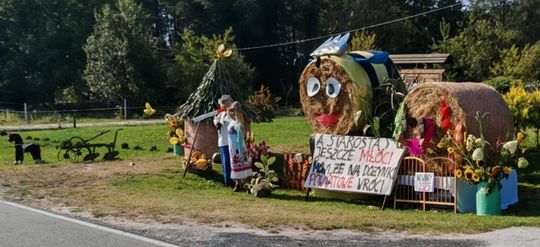 Pow. chełmski. Wszystkie witacze zostaną nagrodzone na powiatowych dożynkach w Nowinach [GALERIA ZDJĘĆ]