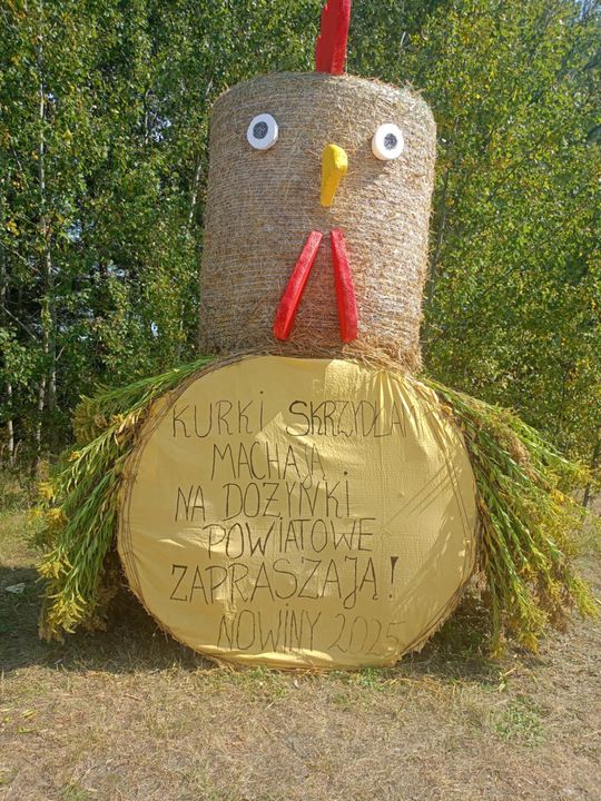 Pow. chełmski. Wszystkie witacze zostaną nagrodzone na powiatowych dożynkach w Nowinach [GALERIA ZDJĘĆ]