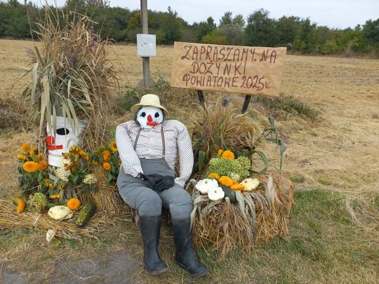 Pow. chełmski. Wszystkie witacze zostaną nagrodzone na powiatowych dożynkach w Nowinach [GALERIA ZDJĘĆ]