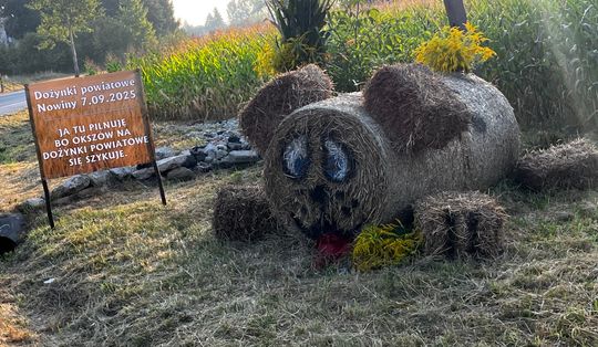 Pow. chełmski. Wszystkie witacze zostaną nagrodzone na powiatowych dożynkach w Nowinach [GALERIA ZDJĘĆ]