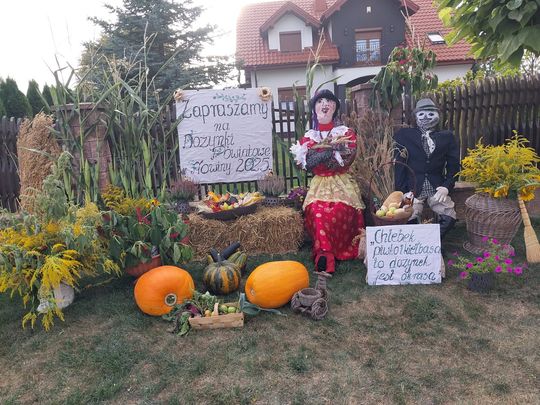 Pow. chełmski. Wszystkie witacze zostaną nagrodzone na powiatowych dożynkach w Nowinach [GALERIA ZDJĘĆ]