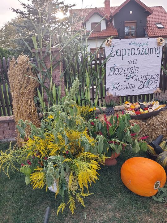 Pow. chełmski. Wszystkie witacze zostaną nagrodzone na powiatowych dożynkach w Nowinach [GALERIA ZDJĘĆ]