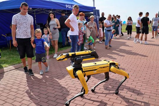 Chełm. Naukowy Piknik Rodzinny w kampusie PANS. To był dzień pełen nauki i zabawy [GALERIA ZDJĘĆ]