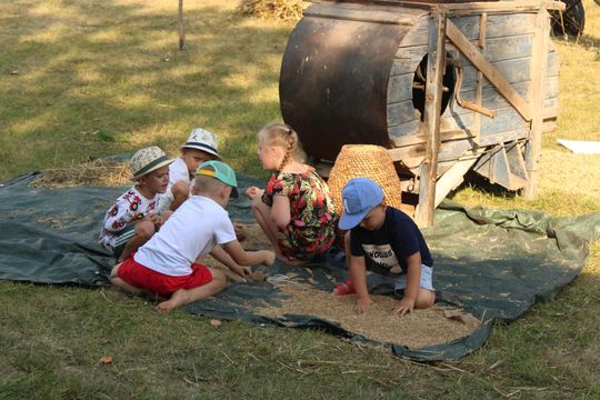 Gm. Siedliszcze. Żniwa Retro w Mogilnicy. Jak się dawniej pracowało [GALERIA ZDJĘĆ]