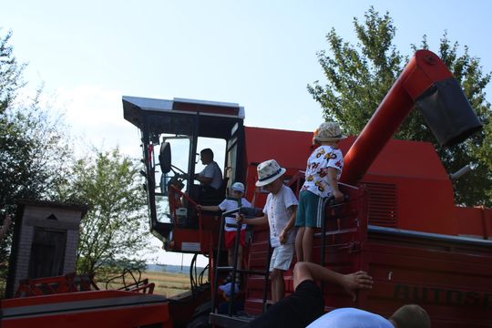 Gm. Siedliszcze. Żniwa Retro w Mogilnicy. Jak się dawniej pracowało [GALERIA ZDJĘĆ]