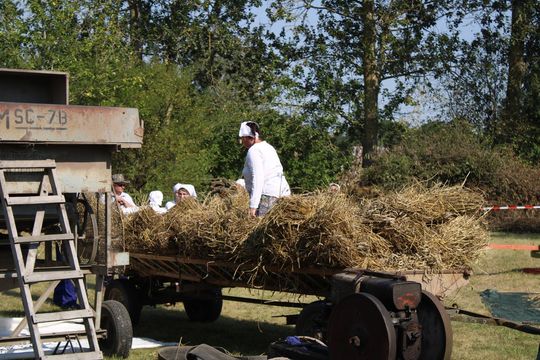 Gm. Siedliszcze. Żniwa Retro w Mogilnicy. Jak się dawniej pracowało [GALERIA ZDJĘĆ]