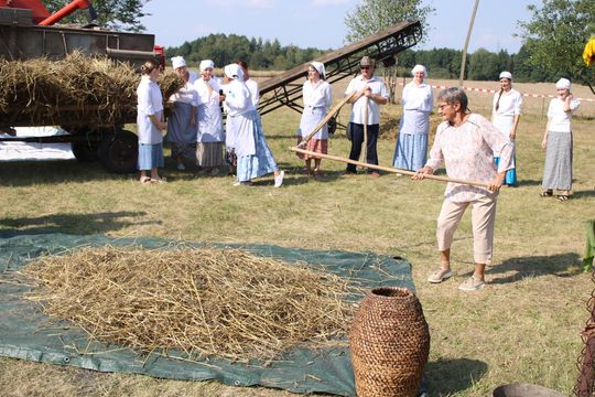 Gm. Siedliszcze. Żniwa Retro w Mogilnicy. Jak się dawniej pracowało [GALERIA ZDJĘĆ]