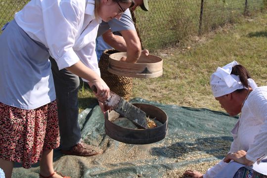 Gm. Siedliszcze. Żniwa Retro w Mogilnicy. Jak się dawniej pracowało [GALERIA ZDJĘĆ]