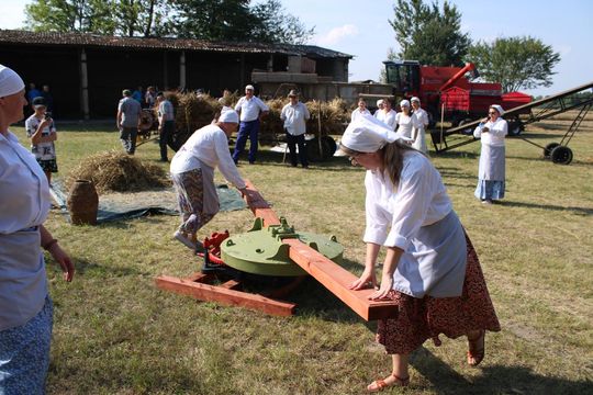 Gm. Siedliszcze. Żniwa Retro w Mogilnicy. Jak się dawniej pracowało [GALERIA ZDJĘĆ]