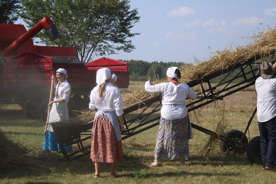 Gm. Siedliszcze. Żniwa Retro w Mogilnicy. Jak się dawniej pracowało [GALERIA ZDJĘĆ]