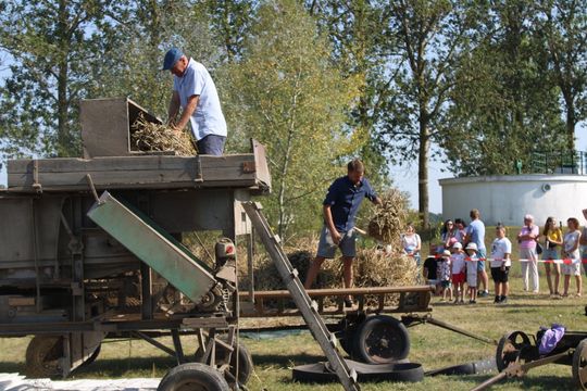 Gm. Siedliszcze. Żniwa Retro w Mogilnicy. Jak się dawniej pracowało [GALERIA ZDJĘĆ]