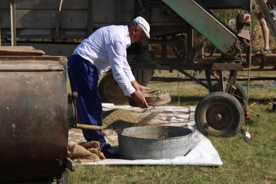 Gm. Siedliszcze. Żniwa Retro w Mogilnicy. Jak się dawniej pracowało [GALERIA ZDJĘĆ]