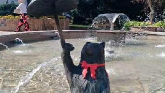 Chełmskie misie w czerwonych kokardkach przypominają o FAS [ZDJĘCIA]