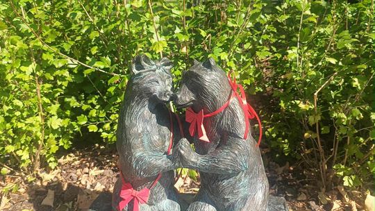 Chełmskie misie w czerwonych kokardkach przypominają o FAS [ZDJĘCIA]