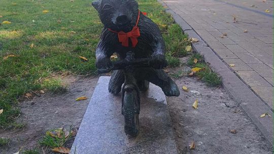 Chełmskie misie w czerwonych kokardkach przypominają o FAS [ZDJĘCIA]