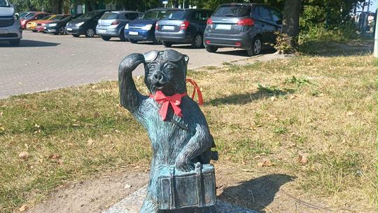 Chełmskie misie w czerwonych kokardkach przypominają o FAS [ZDJĘCIA]