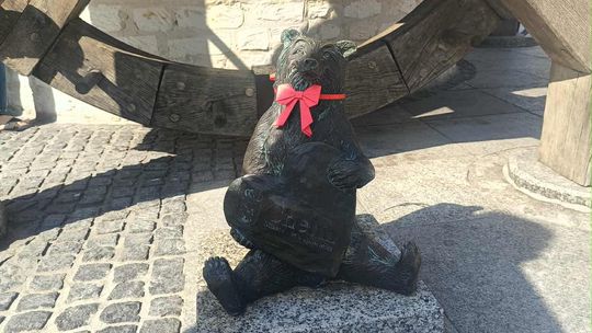 Chełmskie misie w czerwonych kokardkach przypominają o FAS [ZDJĘCIA]