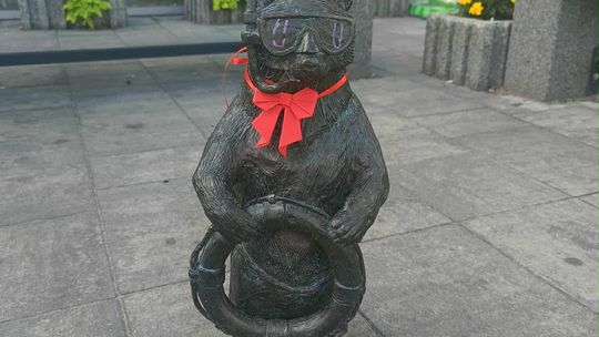 Chełmskie misie w czerwonych kokardkach przypominają o FAS [ZDJĘCIA]