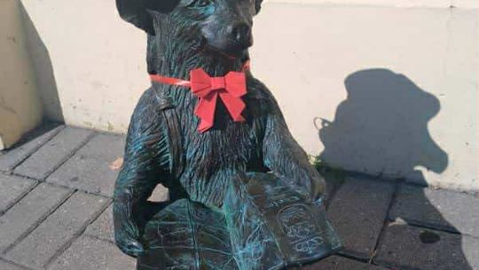 Chełmskie misie w czerwonych kokardkach przypominają o FAS [ZDJĘCIA]