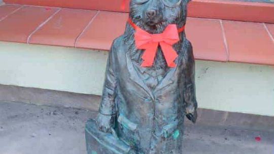 Chełmskie misie w czerwonych kokardkach przypominają o FAS [ZDJĘCIA]