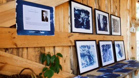 Wystawa fotografii w historycznej technice cyjanotypii - Zapisane w błękicie [GALERIA ZDJĘĆ]