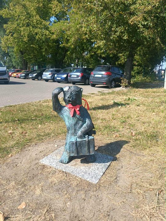 Chełmskie misie w czerwonych kokardkach przypominają o FAS [ZDJĘCIA]