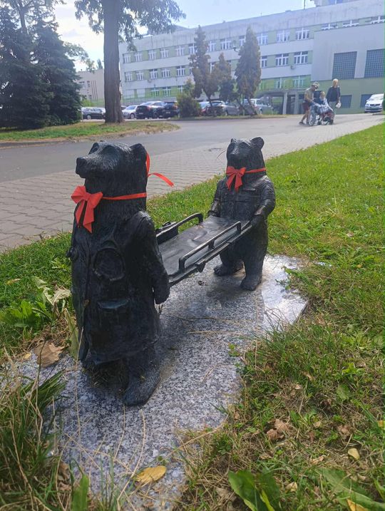 Chełmskie misie w czerwonych kokardkach przypominają o FAS [ZDJĘCIA]