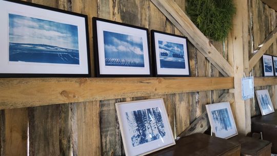 Wystawa fotografii w historycznej technice cyjanotypii - Zapisane w błękicie