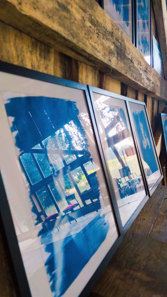 Wystawa fotografii w historycznej technice cyjanotypii - Zapisane w błękicie