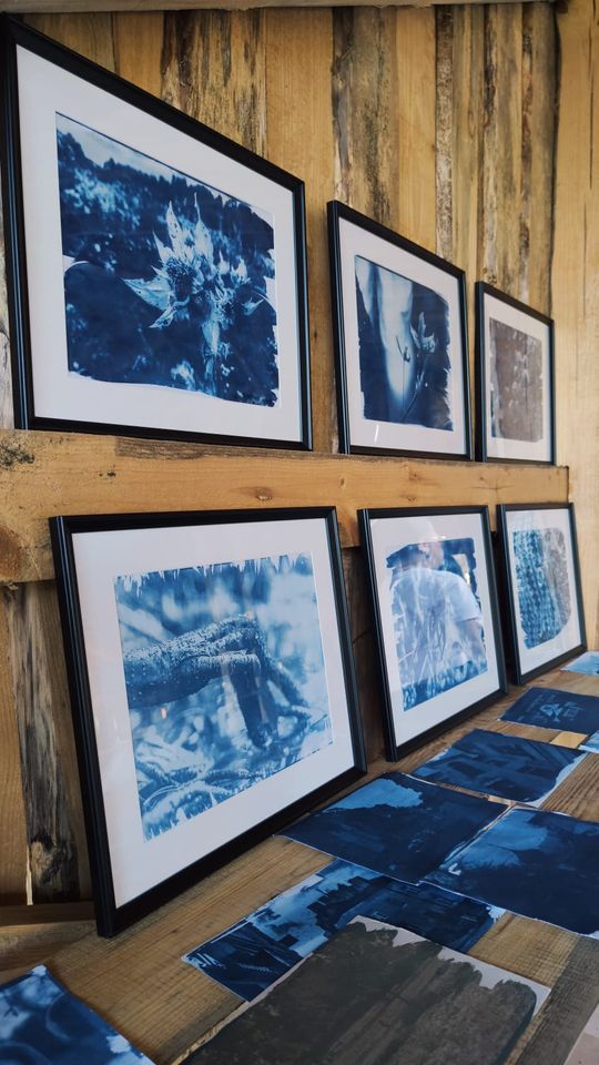 Wystawa fotografii w historycznej technice cyjanotypii - Zapisane w błękicie