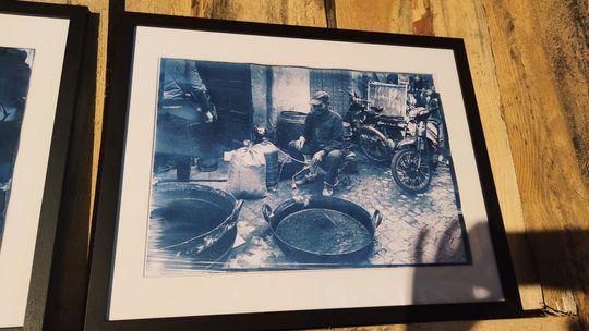 Wystawa fotografii w historycznej technice cyjanotypii - Zapisane w błękicie