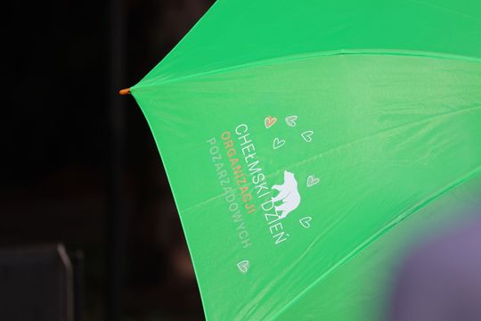 Chełmski Dzień Organizacji Pozarządowych [GALERIA ZDJĘĆ]