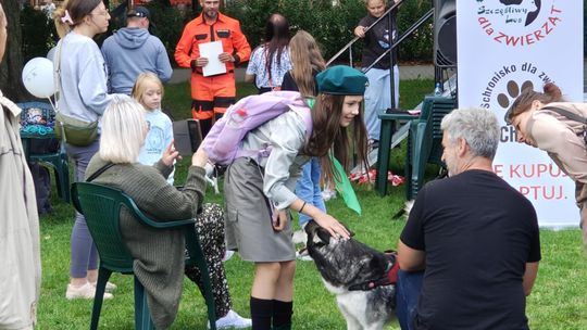 Chełm. Festyn z okazji "Światowego Dnia Zwierząt" [GALERIA ZDJĘĆ]