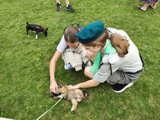 Chełm. Festyn z okazji "Światowego Dnia Zwierząt" [GALERIA ZDJĘĆ]