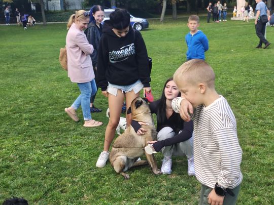 Chełm. Festyn z okazji "Światowego Dnia Zwierząt" [GALERIA ZDJĘĆ]