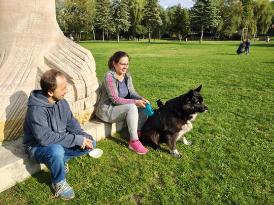 Chełm. Festyn z okazji "Światowego Dnia Zwierząt" [GALERIA ZDJĘĆ]