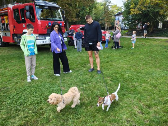 Chełm. Festyn z okazji "Światowego Dnia Zwierząt" [GALERIA ZDJĘĆ]