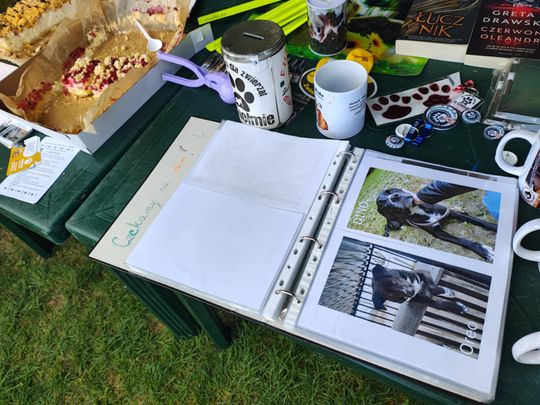 Chełm. Festyn z okazji "Światowego Dnia Zwierząt" [GALERIA ZDJĘĆ]