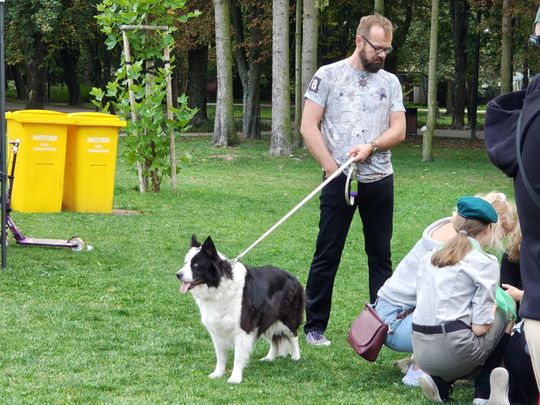Chełm. Festyn z okazji "Światowego Dnia Zwierząt" [GALERIA ZDJĘĆ]